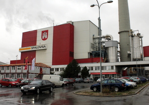 Vianočné stromčeky bude zbierať OLO začiatkom roka